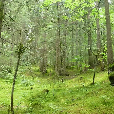 Отель типа 